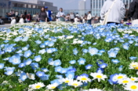 \AL